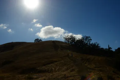 DSC_0399 (Large).JPG